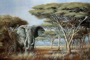 "The Matriarch Elephant"