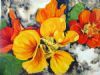 "Nasturtiums"