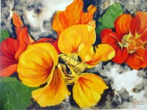 "Nasturtiums"