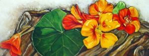 "Nasturtiums on Log"