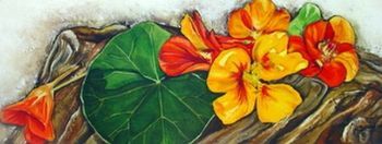 "Nasturtiums on Log"