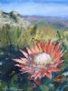 "King Protea Landscape"