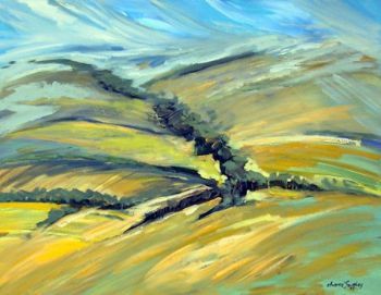 "Canola in the Overberg"