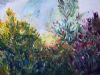 "Fynbos"