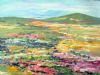 "Spring in Namaquland"