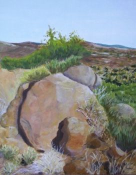 "Karoo National Park"