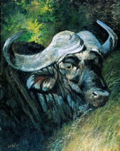 "Mabula Male - Buffalo"