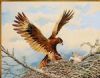 "Wharlberg Eagle"