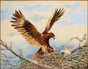 "Wharlberg Eagle"