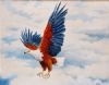 "Eagle Swooping - Fish Eagle"