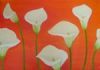 "Arums"