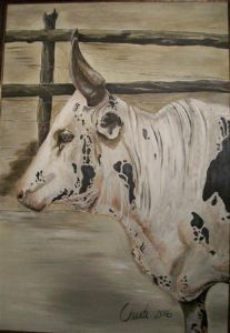 "Nguni 2"