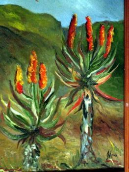 "Aloes"