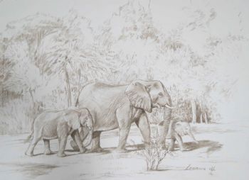 "Elephant Family"