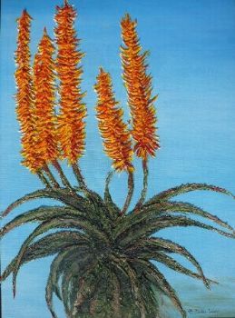 "Aloe Flowers"