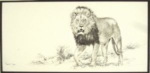 "Big 5 Lion"