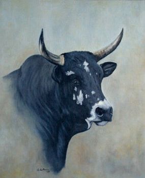 "Nguni #4"