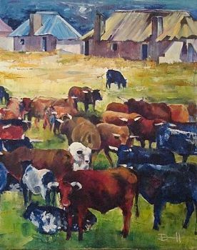 "Cows"