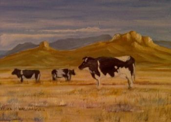"Cows in Field"