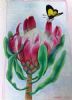 "King Protea"