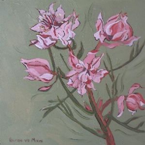 "Fynbos 2, Blushing Bride"