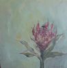 "Fynbos 25, Silwer Suikerbos"
