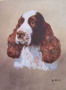 "English Springer Spaniel"