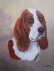 "487 Basset Hound"