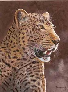 "Leopard"