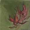 "Fynbos 17, Leocadendron"