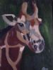 "Giraffe"