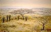 "Mt Alice, Spioenkop Landscape"