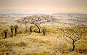 "Mt Alice, Spioenkop Landscape"