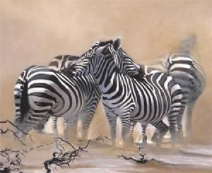 "Zebras in the sun"