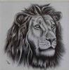 "Lion"