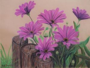 "Pink Daisies"