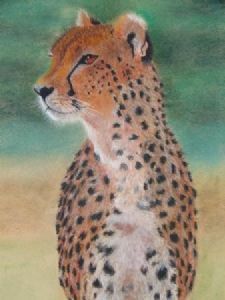 "Cheetah"