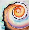 "Seashell Colors"