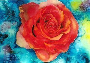 "Rose"