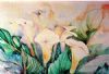 "Arums"