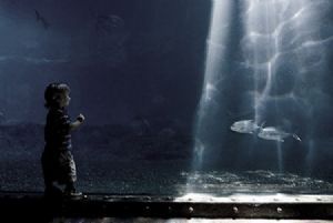 "Small Fish, Big Pond"
