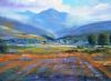 "Swartland South Africa"