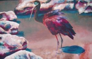 "Shining Ibis (Blink Hadeda)"