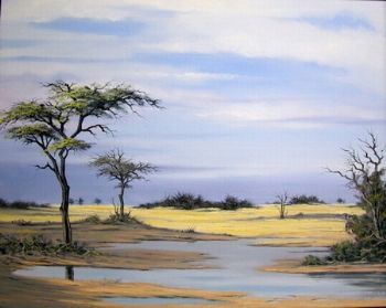 "Rain over Makgadikgadi"