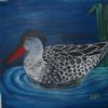 "Red-Billed Teal - Grey"