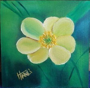"Wild flower 6-Clarens - Goldengate"