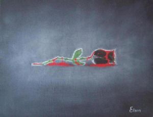 "A Rose in black"