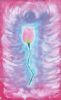 "A Rose in Pink"