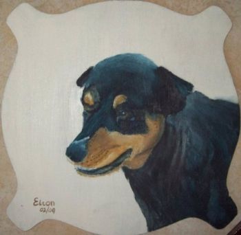 "A Dog called Rambo"
