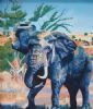 "Elephant Bull in Bushveld"